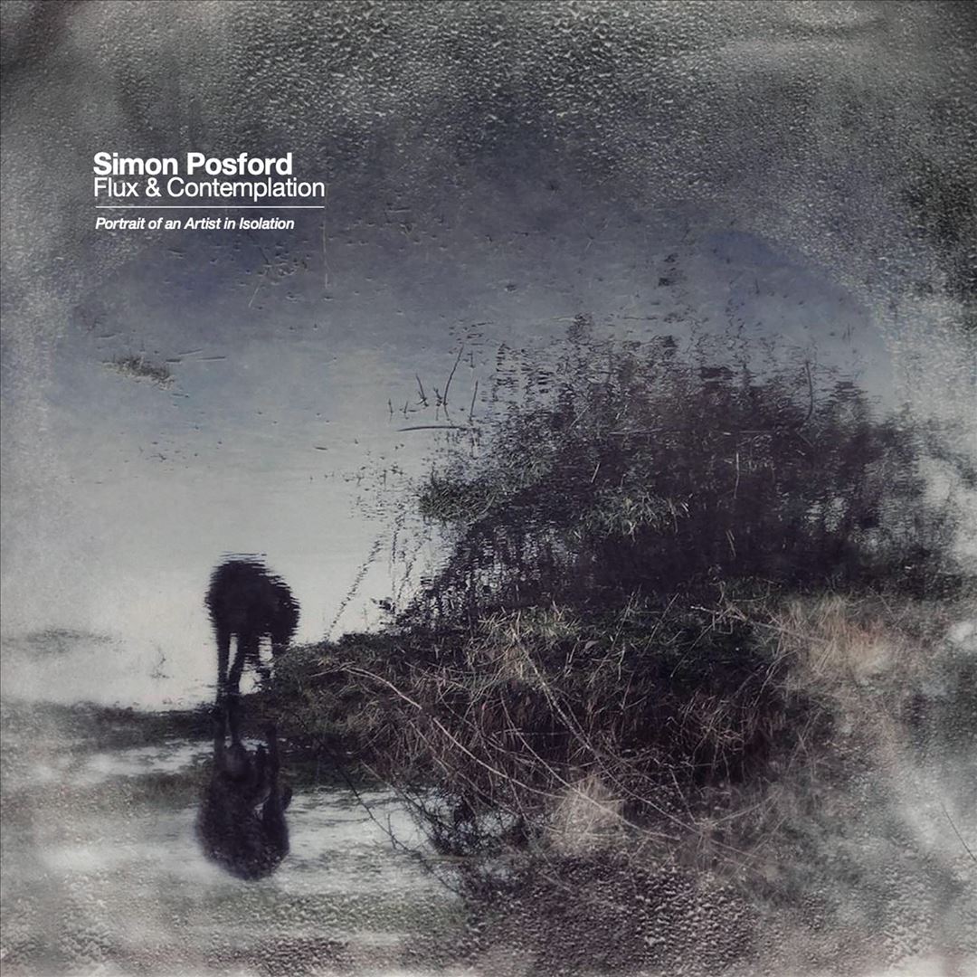 Flux & Contemplation: Portrait of an Artist in Isolation cover art