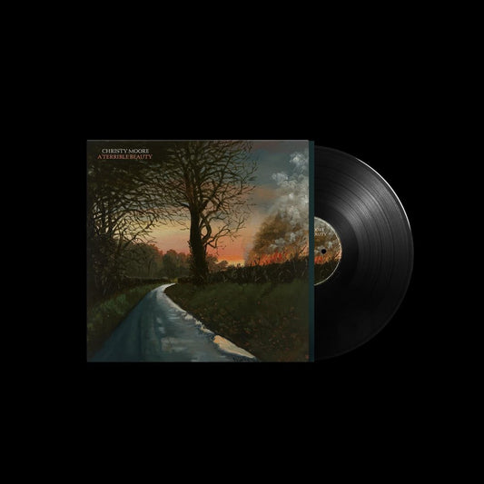 Terrible Beauty cover art