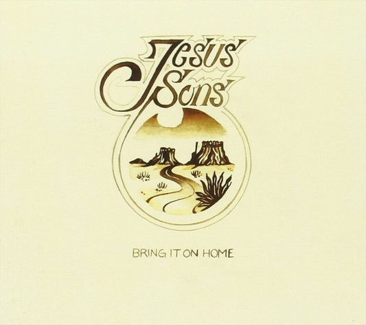 Bring It on Home cover art