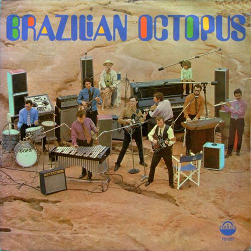 Brazilian Octopus cover art