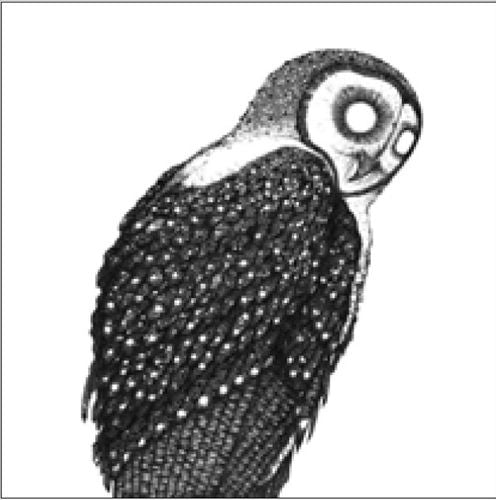 Mydriase cover art