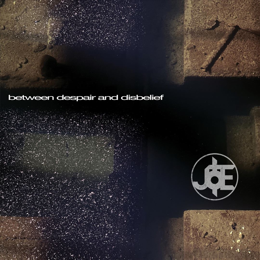 Between Despair and Disbelief cover art