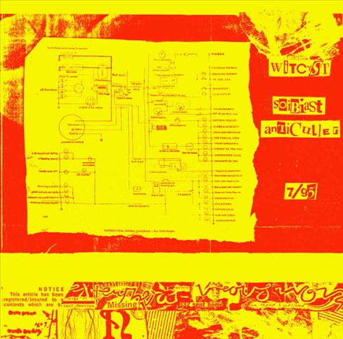Soibiast Anti-Culler cover art