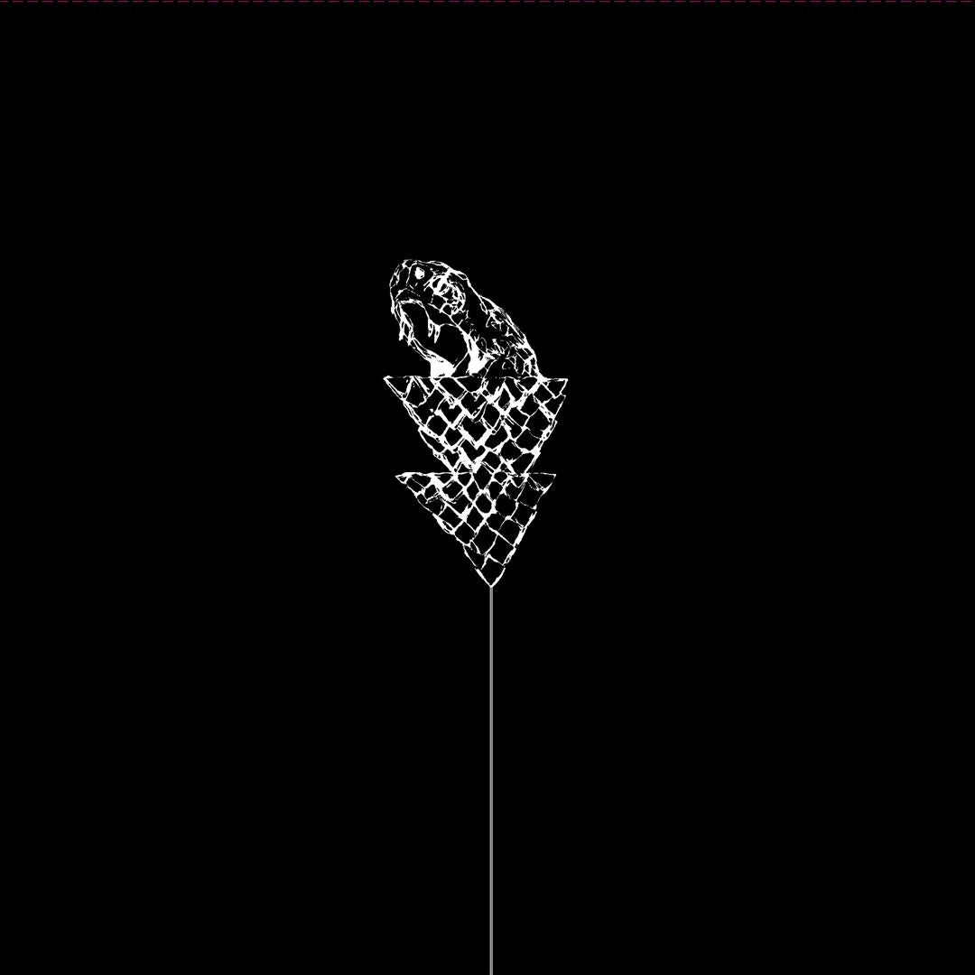 Flail cover art
