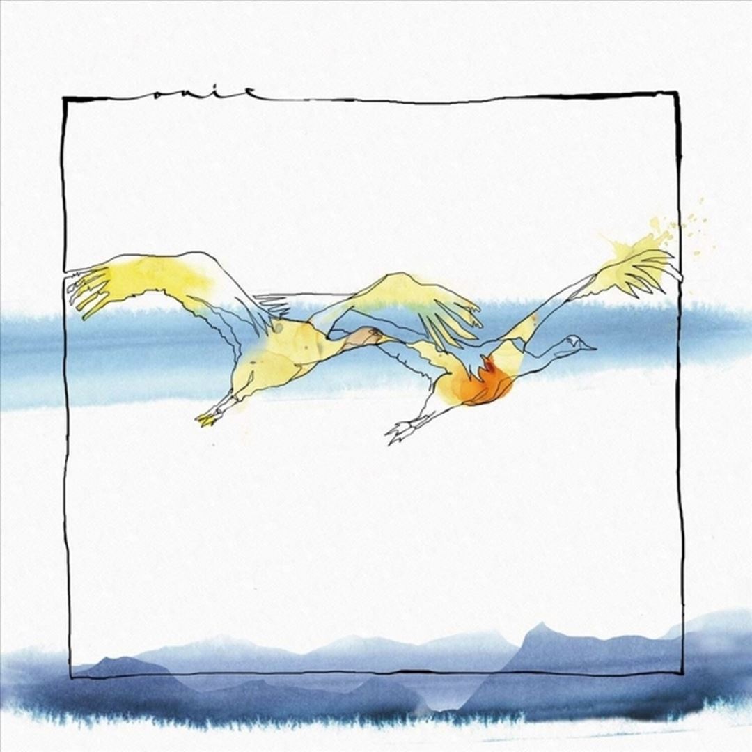 Vola cover art