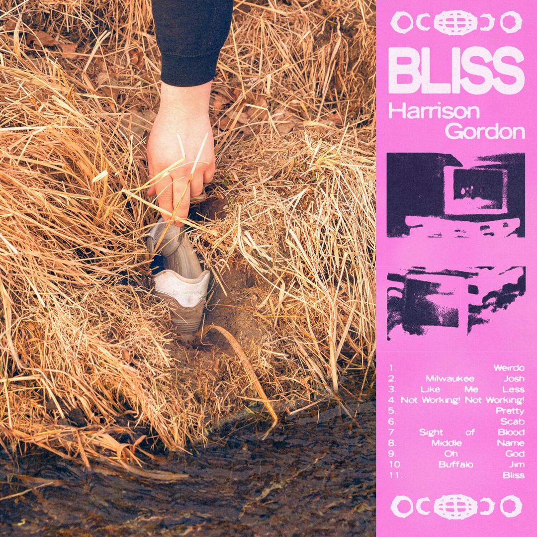 Bliss cover art