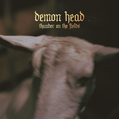 Thunder on the Fields cover art