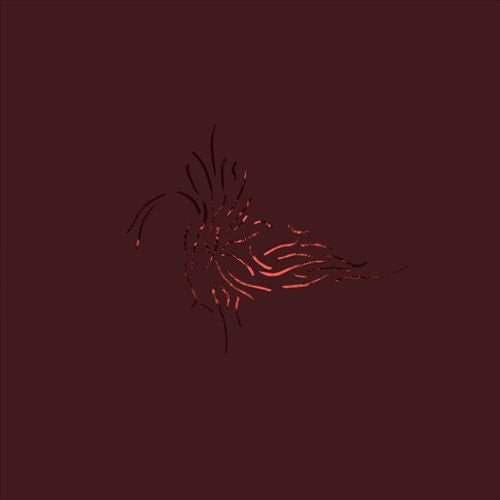 Next to the Entire All cover art