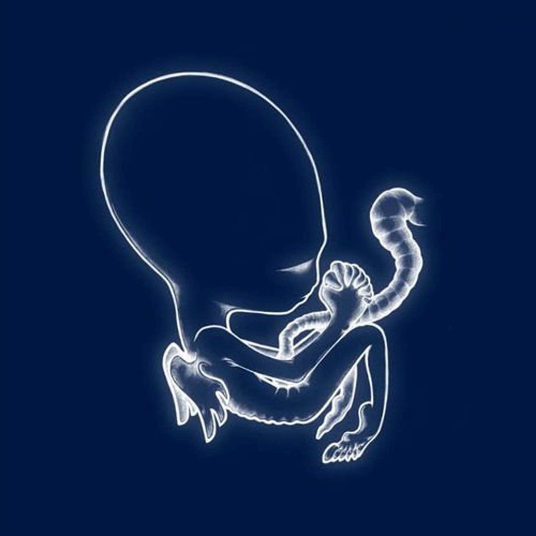 Ágætis Byrjun cover art