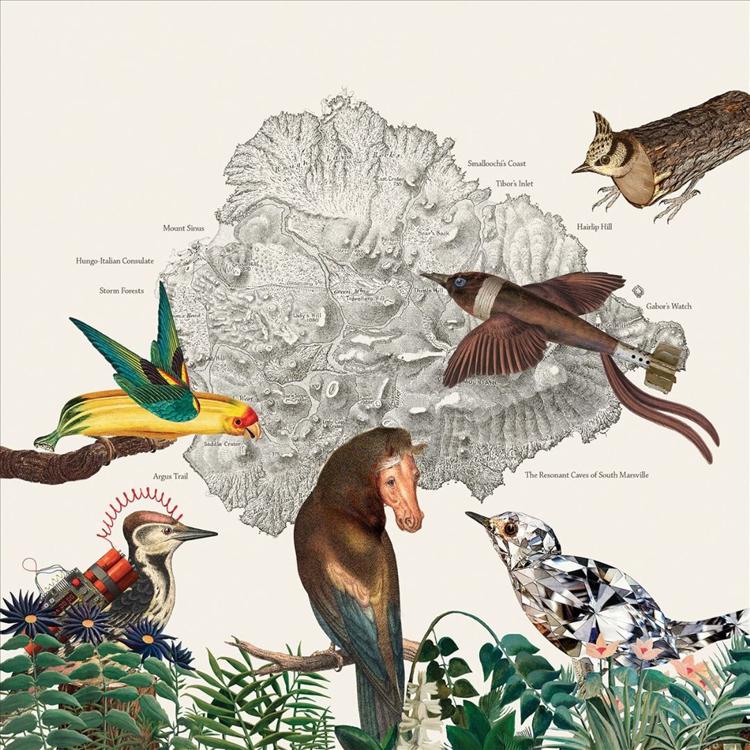 Birds of Marsville cover art