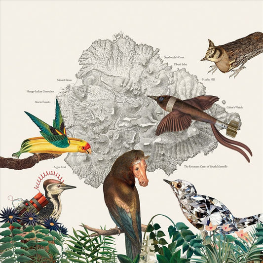 Birds of Marsville cover art