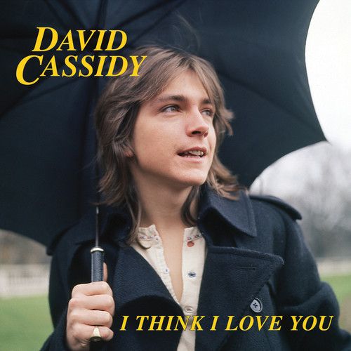 I Think I Love You cover art