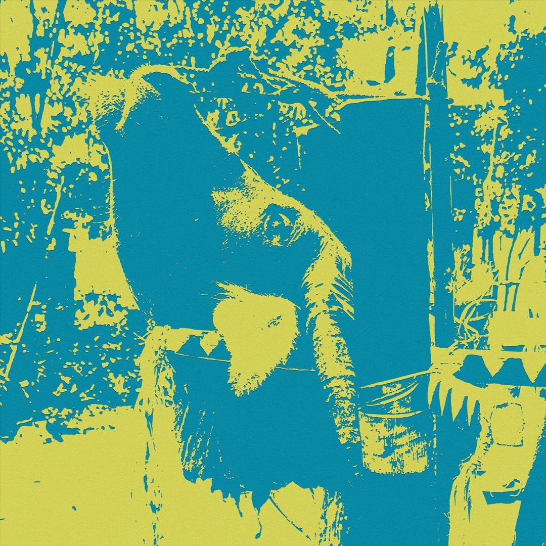 Gongs of the Bahnar: A Buffalo Sacrifice Ceremony cover art