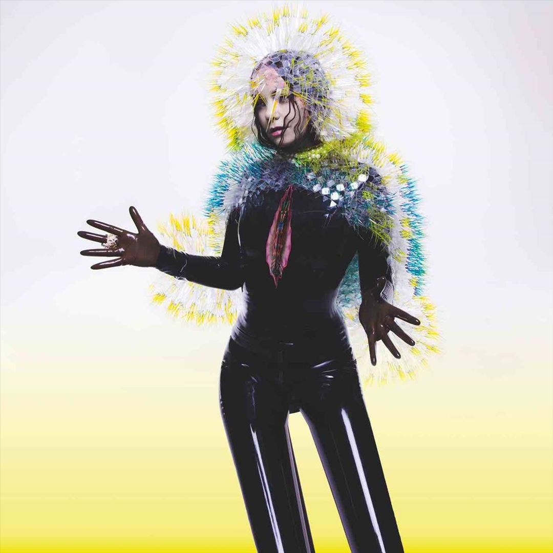 Vulnicura cover art