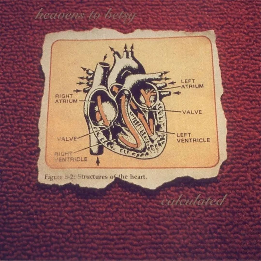 Calculated cover art