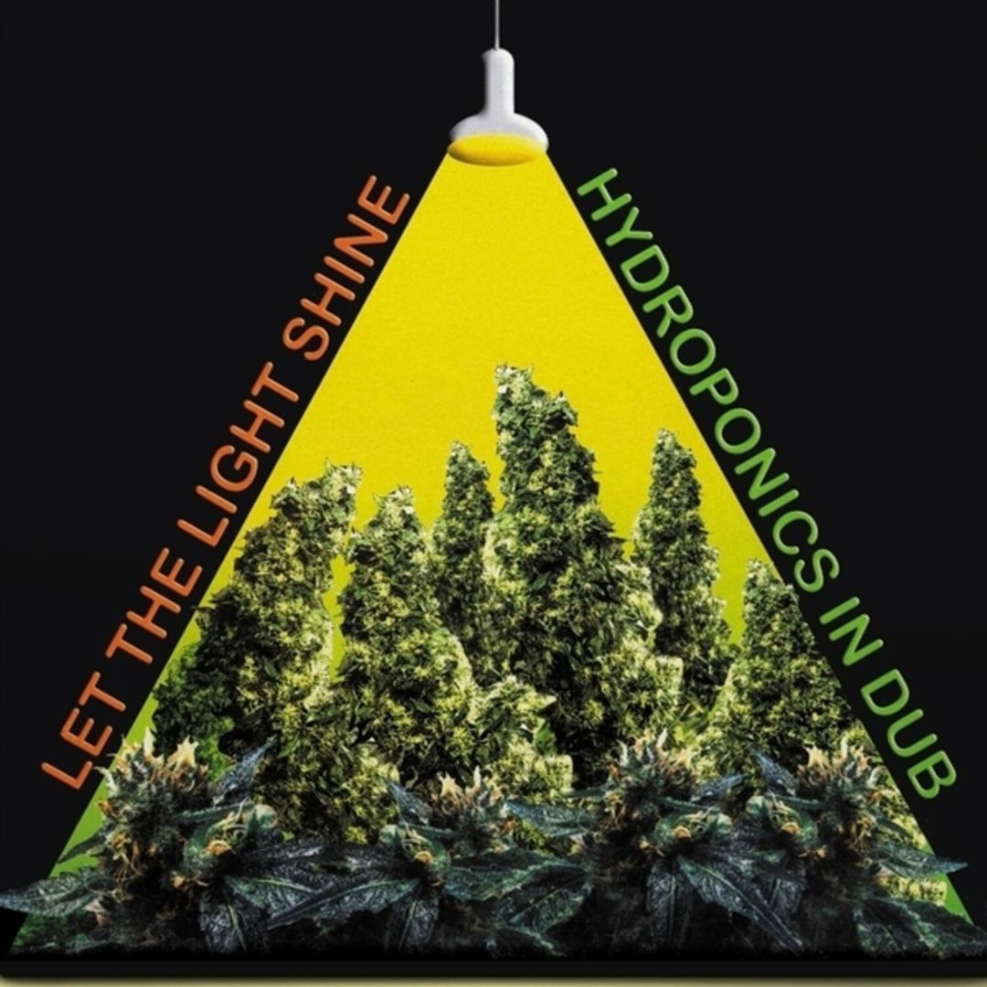 Let the Light Shine cover art