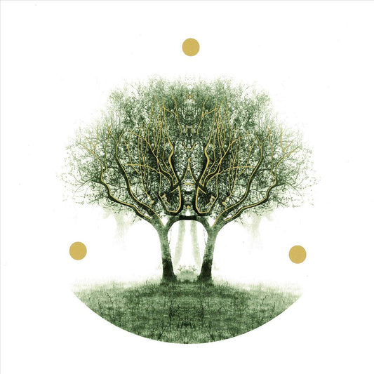 ULU cover art