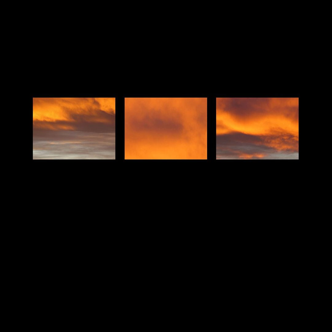 Suncrows Fall and Tree cover art