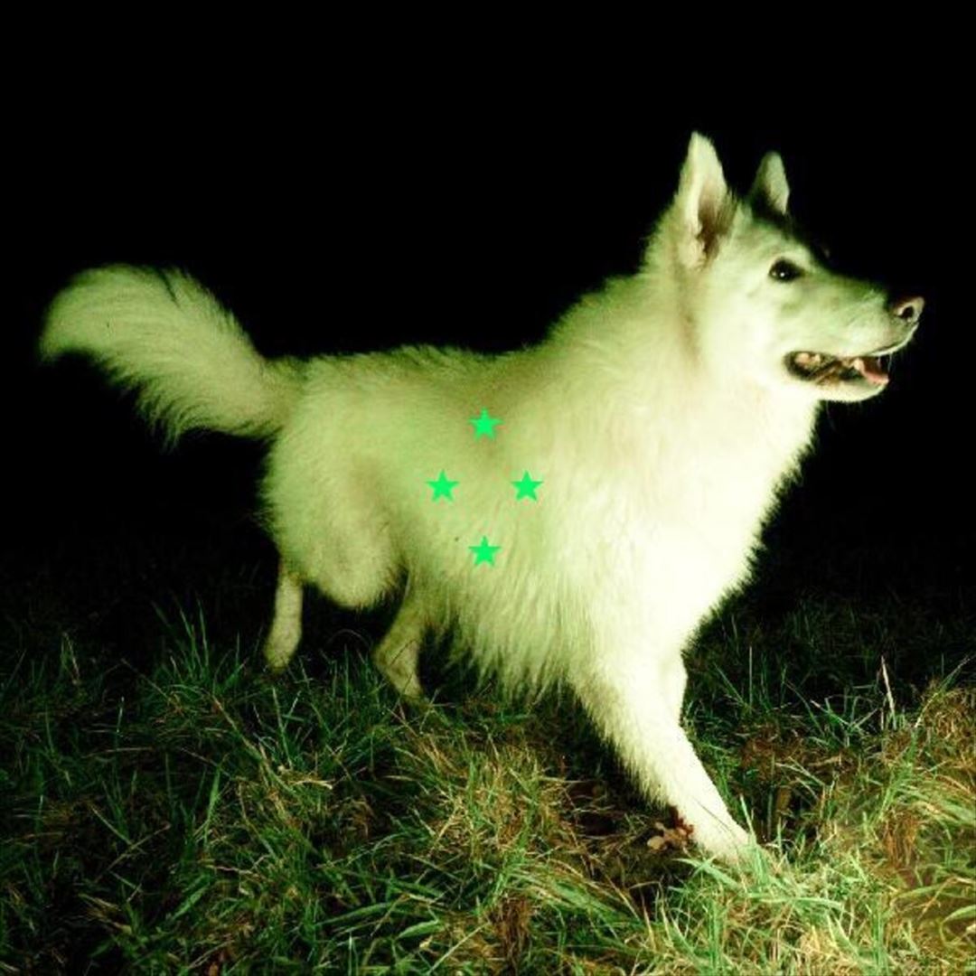Compare What’s There cover art
