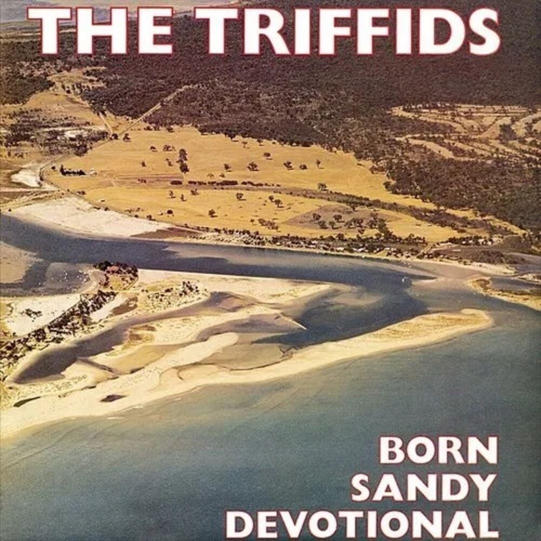 Born Sandy Devotional cover art