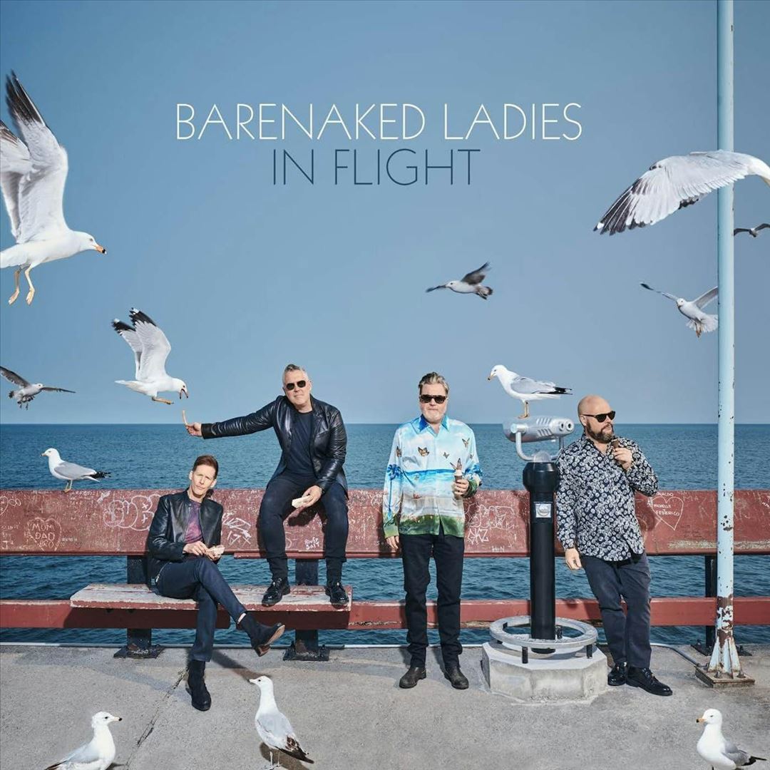 In Flight cover art