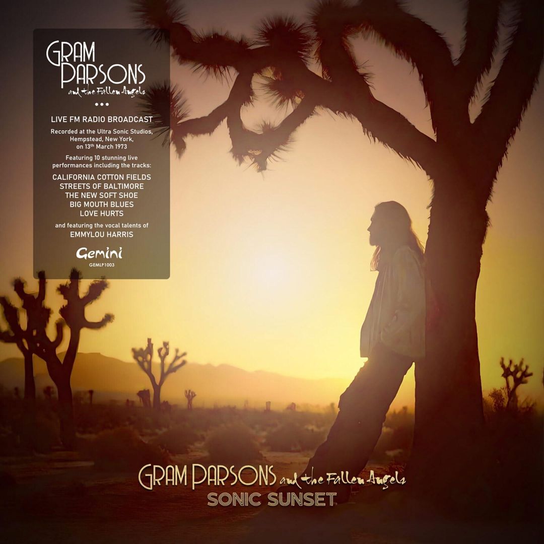 Sonic Sunset cover art