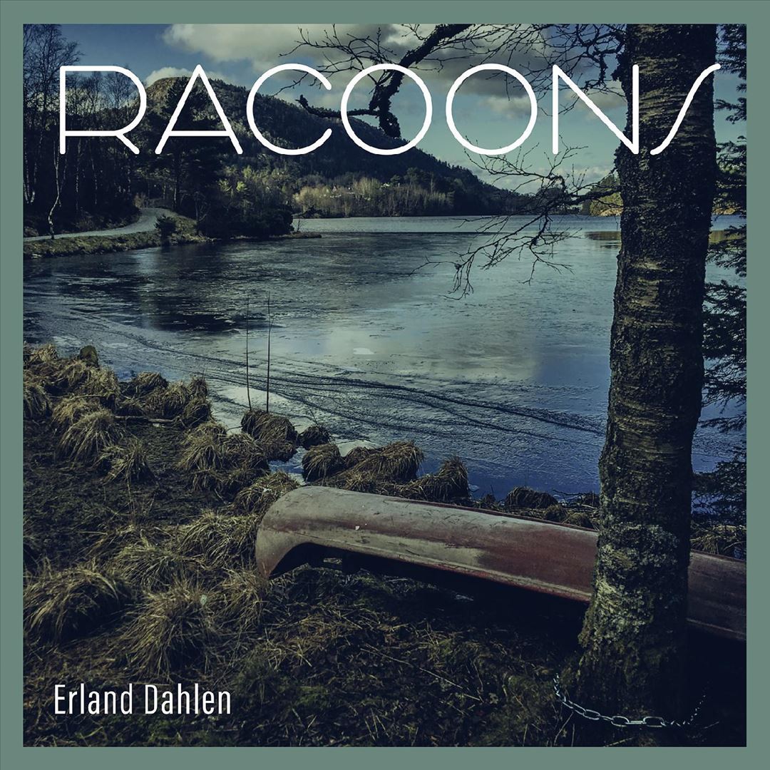 Racoons cover art