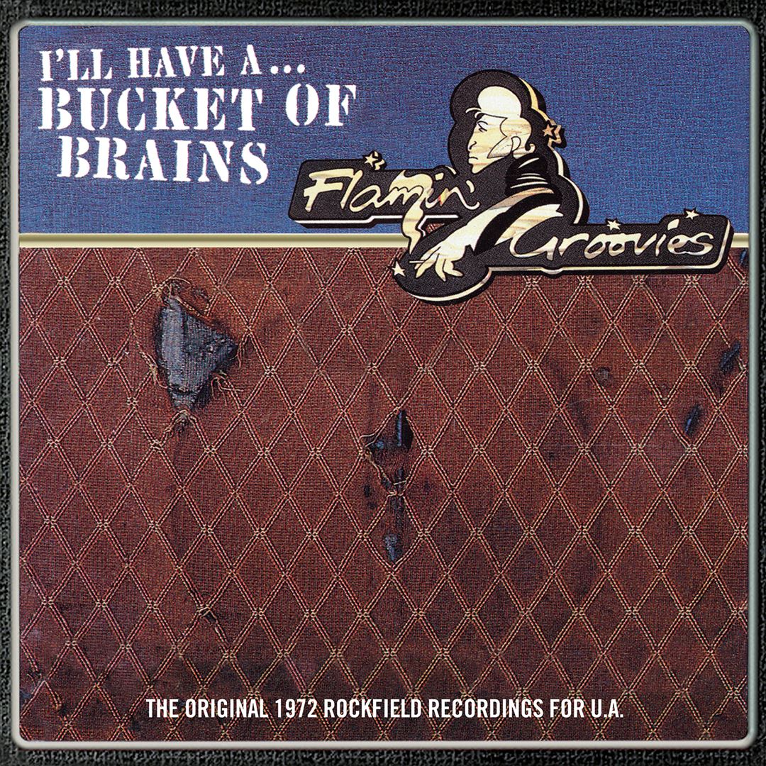 Bucketful of Brains cover art