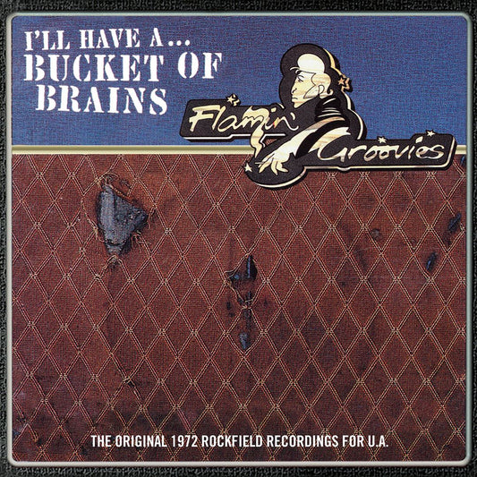 Bucketful of Brains cover art