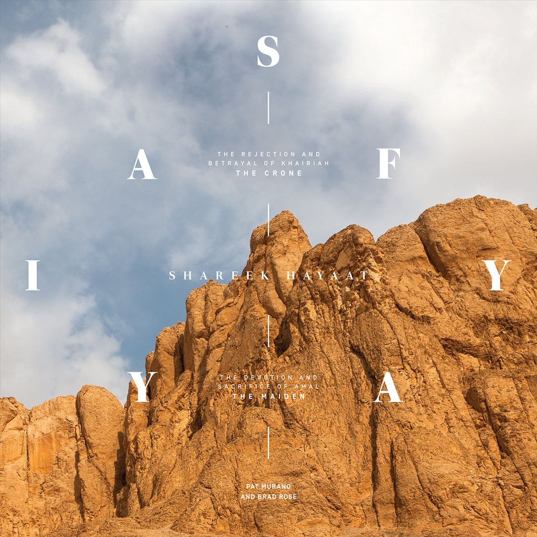 Shareek Hayaat cover art