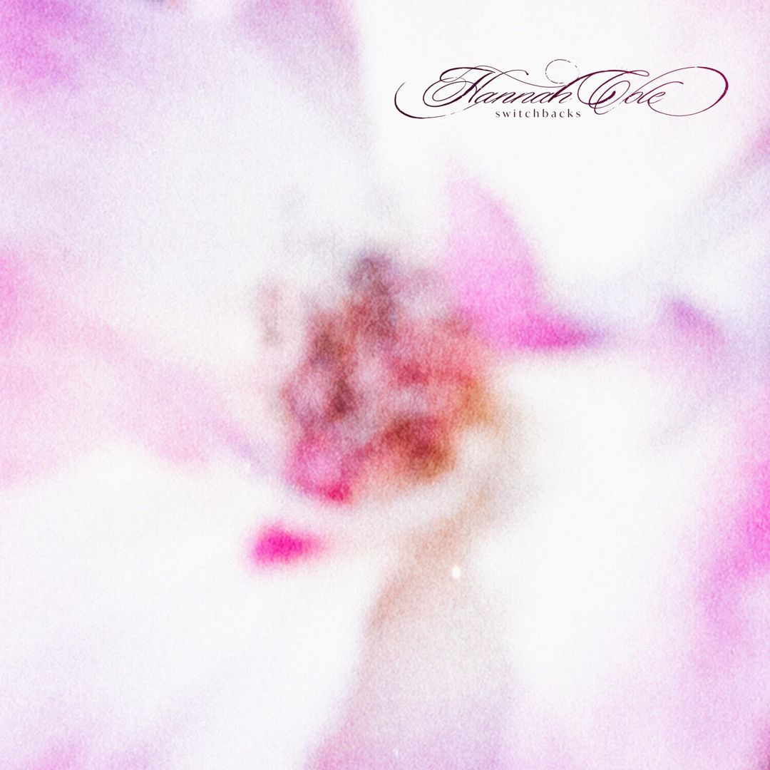 Switchbacks [Purple] cover art