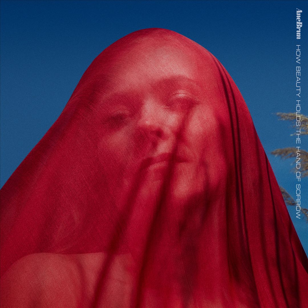 How Beauty Holds the Hand of Sorrow cover art