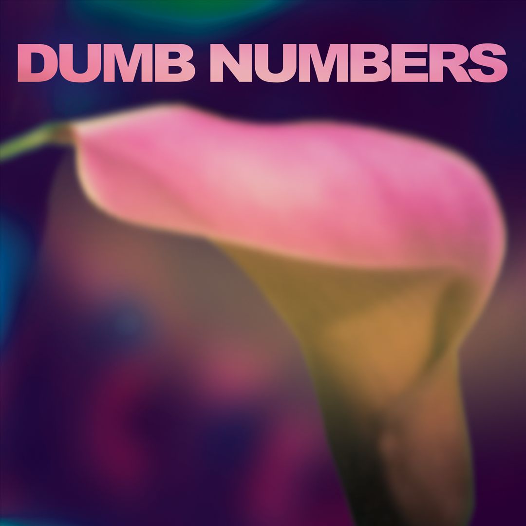 Dumb Numbers cover art
