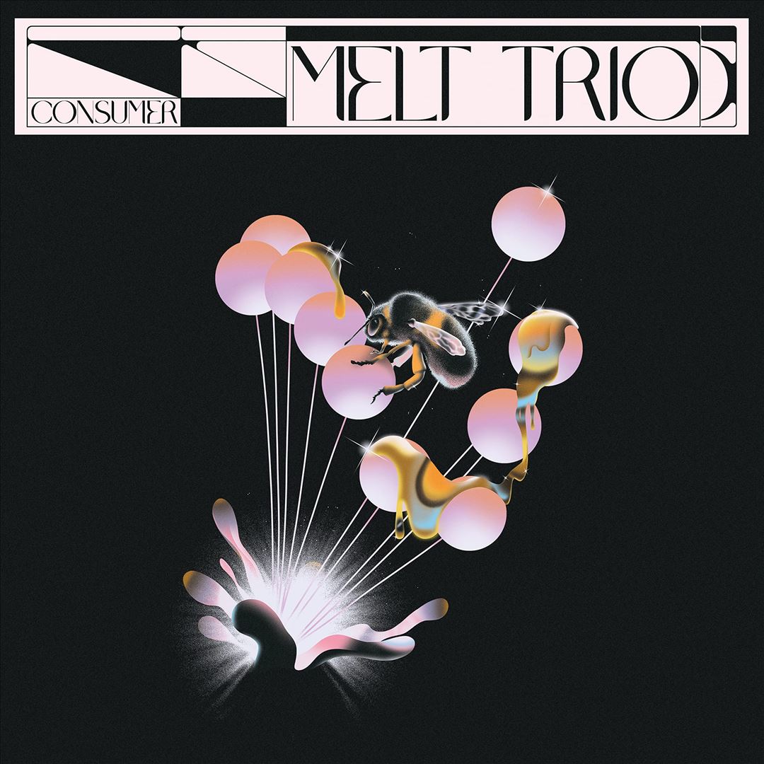 Consumer cover art