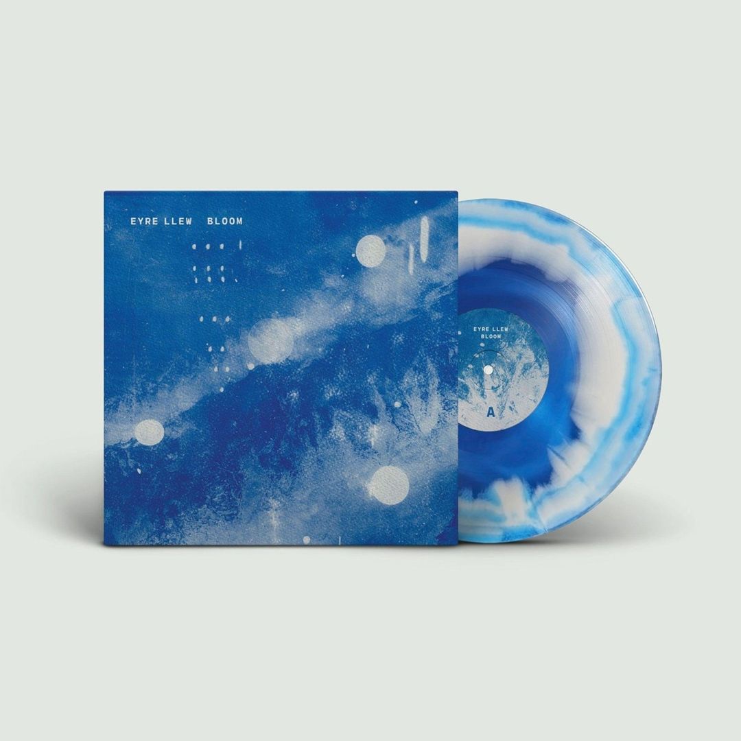 Bloom [Cloudburst Colored Vinyl] cover art