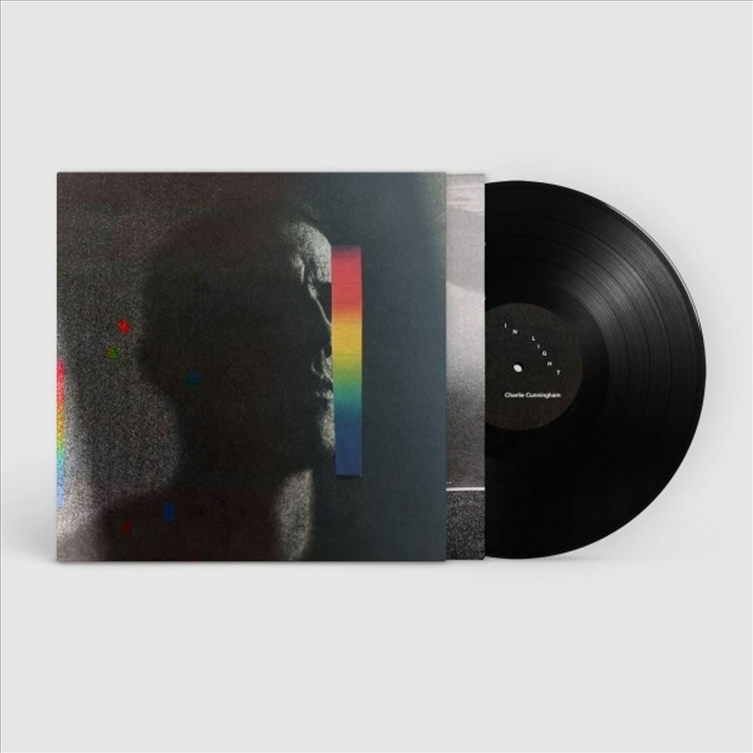 In Light cover art