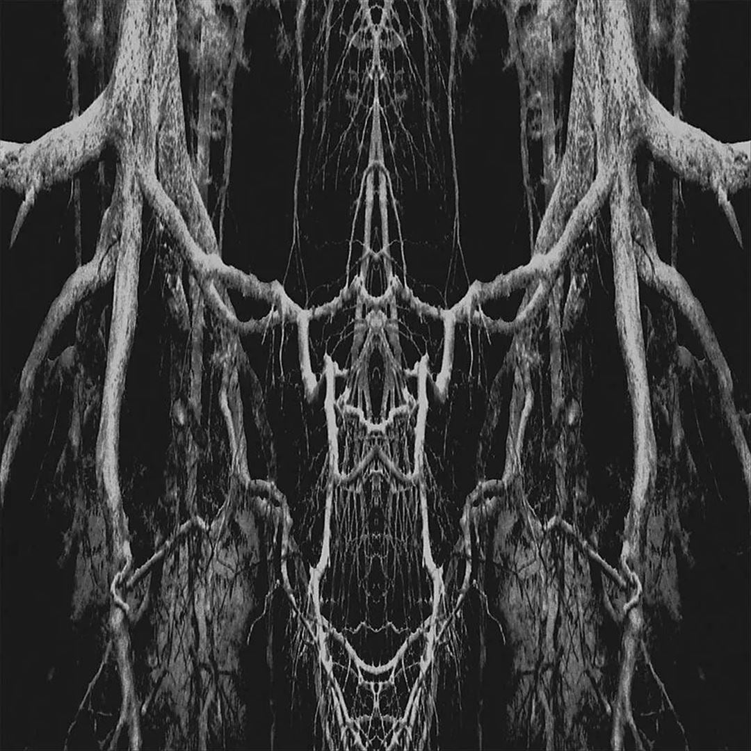 Zatokrev cover art