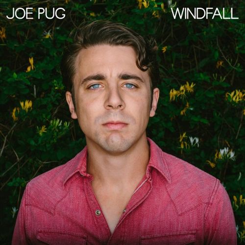 Windfall cover art