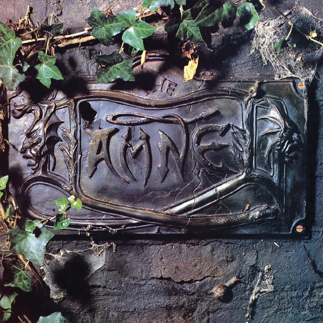 Black Album cover art