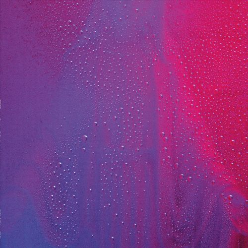 Lady Pimp cover art
