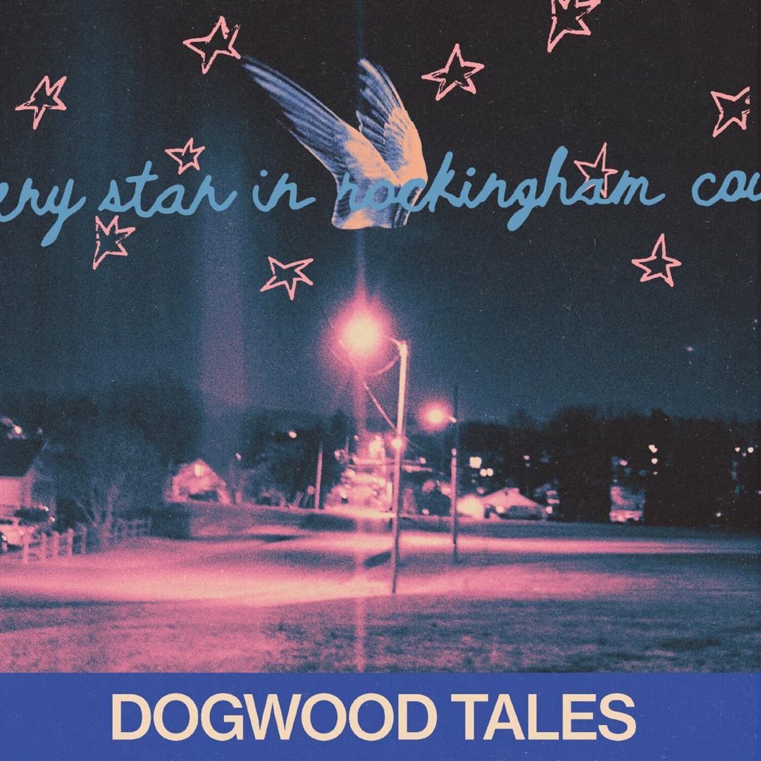 Every Star in Rockingham County cover art