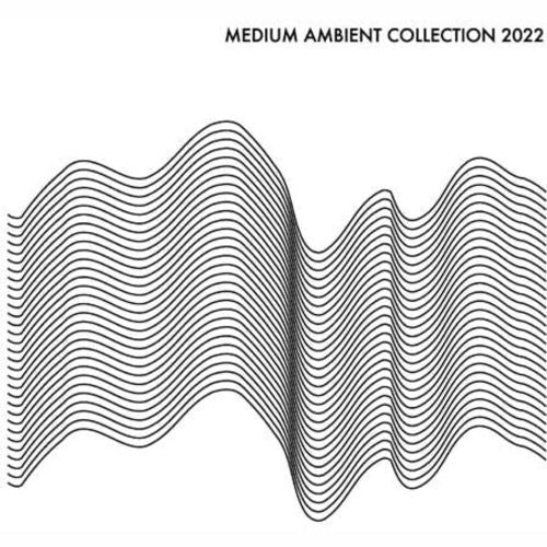 Medium Ambient Collection 2022 cover art