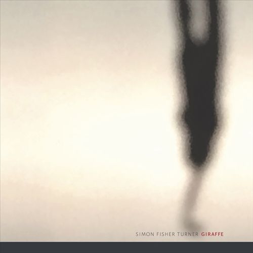 Giraffe cover art