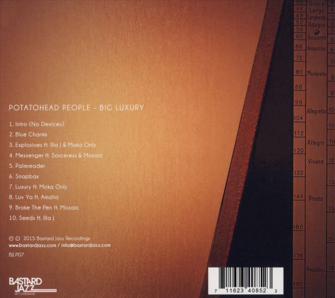Big Luxury cover art