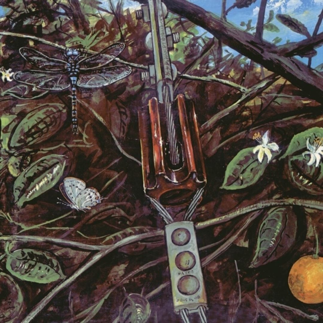 Dragonfly cover art