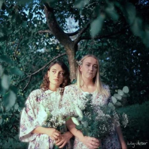 Lily Arbor cover art