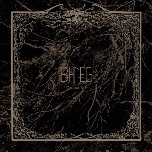 Draumr Ást cover art