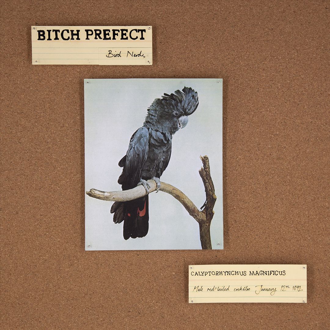 Bird Nerds [LP] cover art