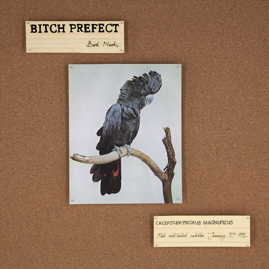 Bird Nerds [LP] cover art