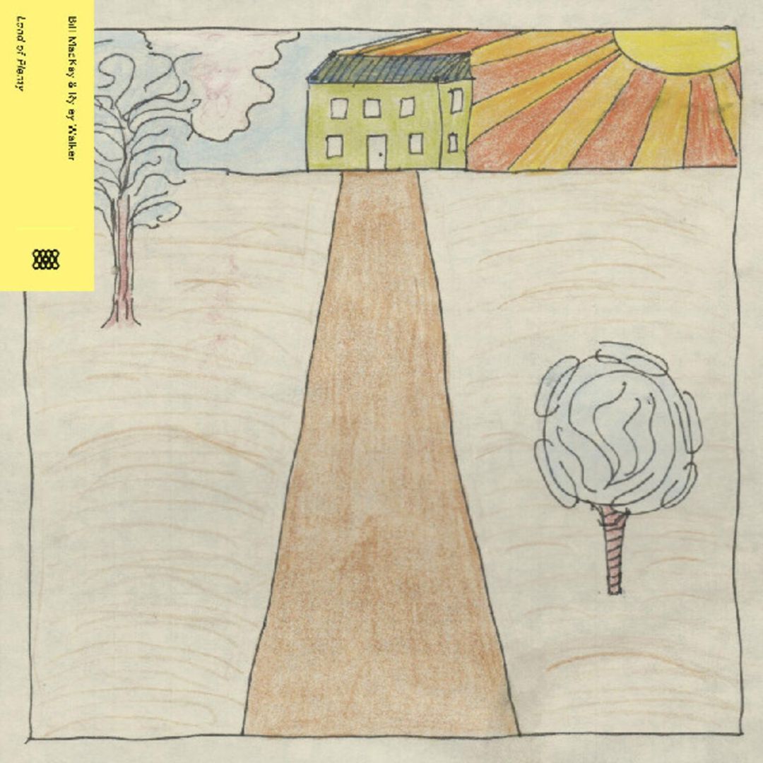 Land of Plenty cover art
